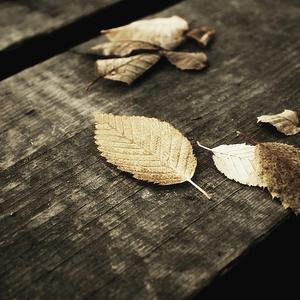 卢昱晓被❌到爽被爆衣
